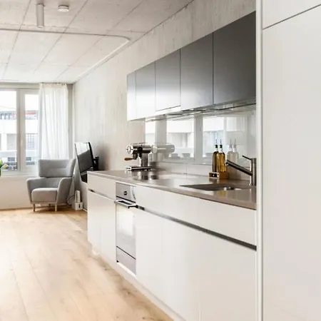 Designer-maisonette Im Industrie Chic 3,5 Zurich