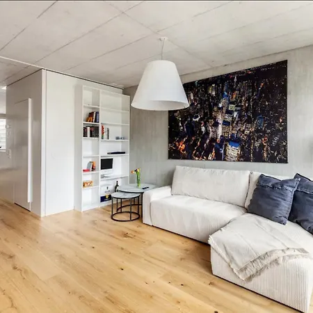 Apartment Designer-maisonette Im Industrie Chic 3,5 Zurich